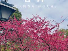 -乌山风景区