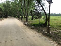 -泰安地下龙宫景区