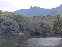 -杭州半山国家森林公园