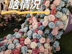 -HALO广场(梨园路店)