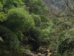 -神龙峡风景区
