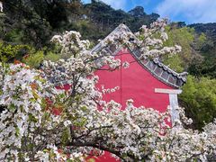 -泰山风景名胜区