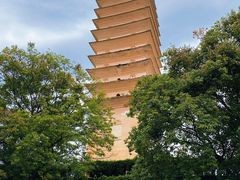 -崇圣寺三塔文化旅游区