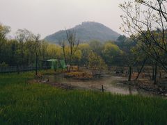 -西湖风景区-江洋畈生态公园