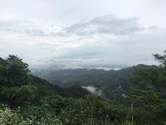 -木兰云雾山