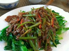 -肥信潮菜(科新路店)
