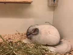 -龙猫仔乐园(惠福东路店)