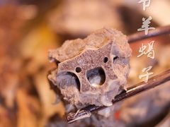 -浩爷羊蝎子火锅(望京店)