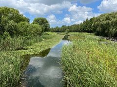 -苏州太湖湖滨国家湿地公园