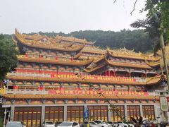 -东莞市大岭山森林公园