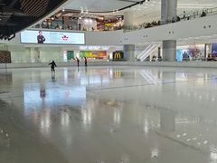 -TheRink大零溜冰场(IFS国金中心店)