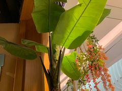 -觅山云南菜(泊富ICITY店)