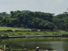 -东莞植物园