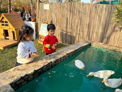 -HERRE·FARM 赫尔露营农场·团建聚会包场