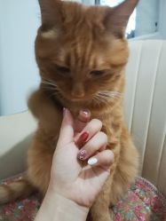 -今玥美甲美睫