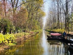 -合肥滨湖国家森林公园