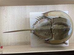 -中国湿地博物馆