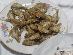 -小六农家乐(崇明西沙湿地店)