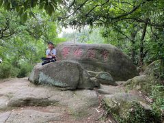 -灵岩山风景区