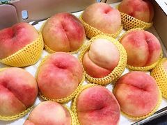 -南汇水蜜桃采摘(大团店)