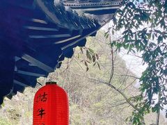 -石台牯牛降景区