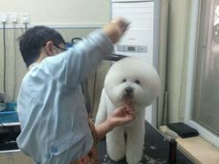 android_upload_pic-我爱吾宠宠物美容院(朝阳路店)
