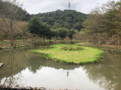 -田野绿世界