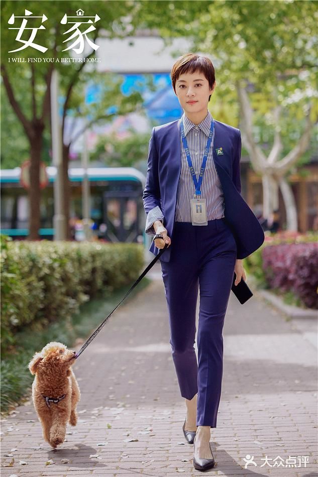 最近一直在同步追剧，《安家》