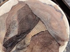 -二荆条·蜀鲜汇城市森林火锅