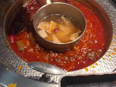 -晓宇重庆火锅(赛格国际购物中心店)