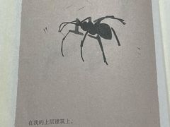 -三联韬奋书店(宽窄巷子店)