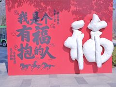 -合肥滨湖国家森林公园