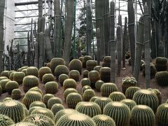 -南山植物园