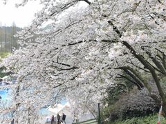 -杭州少年儿童公园