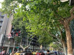 -拌来拌去石鍋拌飯(文鼎店)