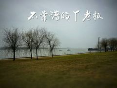 -滨江生态公园