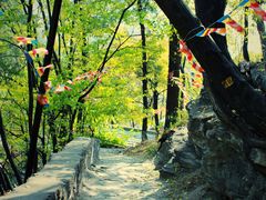 -北京上方山国家森林公园