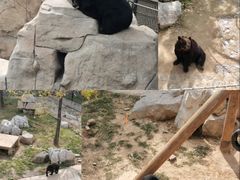 -石家庄市动物园