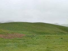 -山丹皇家马场