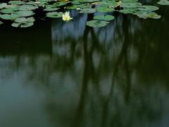 -星巴克(深圳前海企业公馆店)