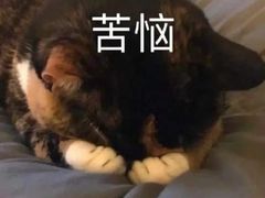 -塔斯提抓饭(东城汇店)