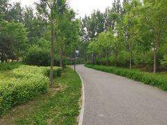 -东郊湿地公园