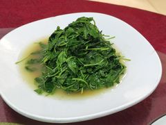 -旭龙鱼头王(航华店)