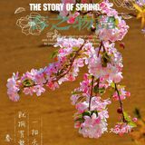 🌸京城赏花攻略|北土城地铁口，让你免费拥抱海棠花海🌷