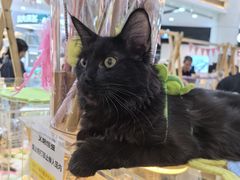 -宁波鄞州万达广场