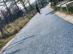 -七桥瓮公园