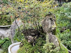 -成都杜甫草堂博物馆