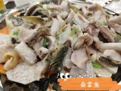 -金瑞轩大酒楼·顺德鱼生·粤菜海鲜(东江国际店)
