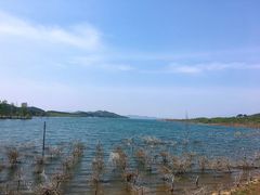-姥家大锅台水库渔家