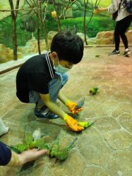 -宝燕乐园(闵行旗舰店)